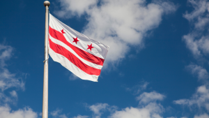 DC Flag